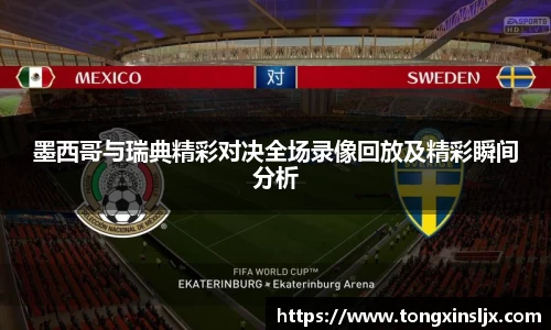 墨西哥与瑞典精彩对决全场录像回放及精彩瞬间分析